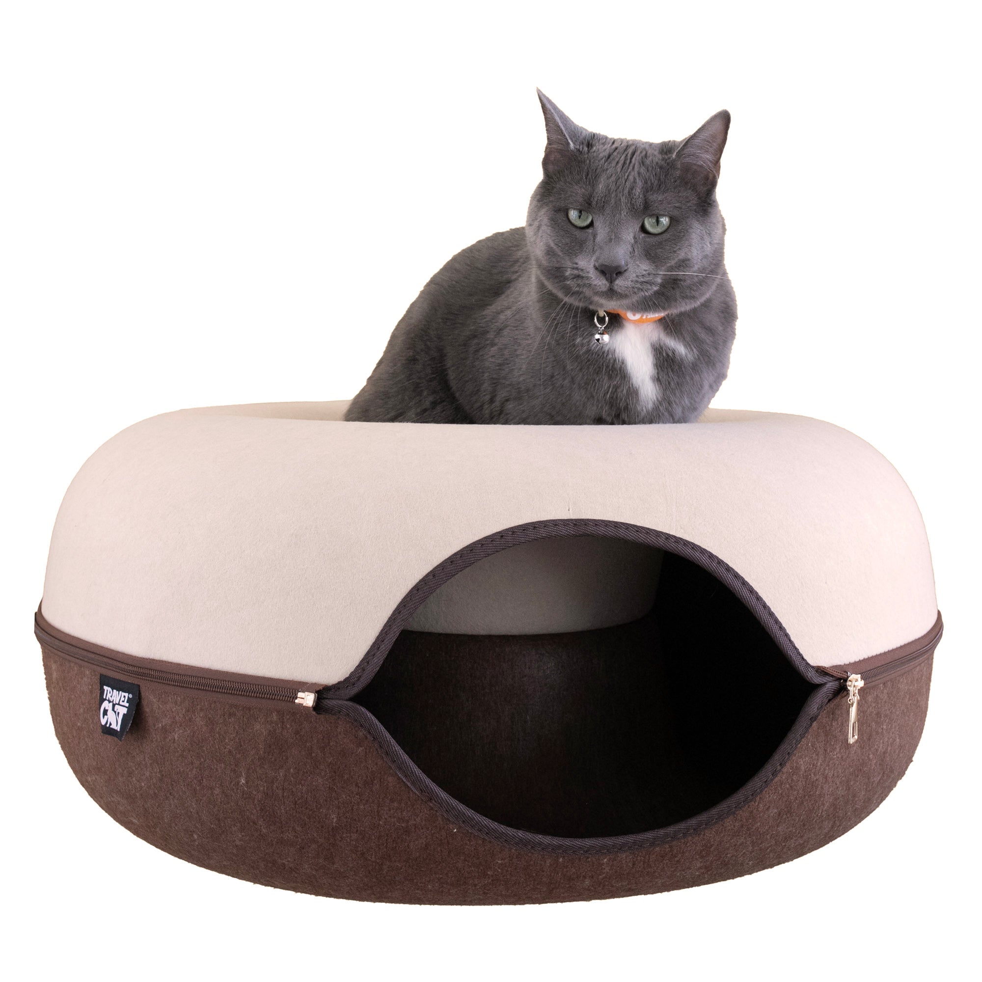 #color_Chocolate & Cream