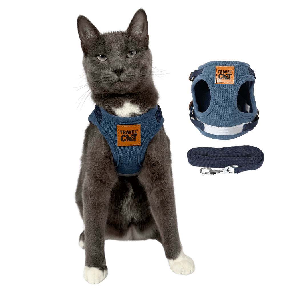 "The True Adventurer" Reflective Cat & Kitten Harness and Leash