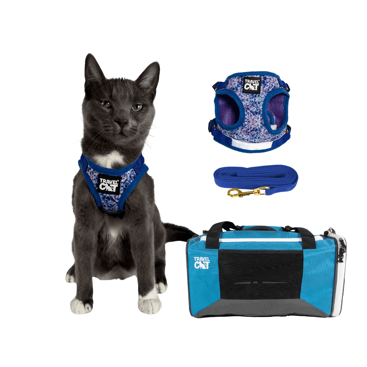 Feline Groovy Bundle