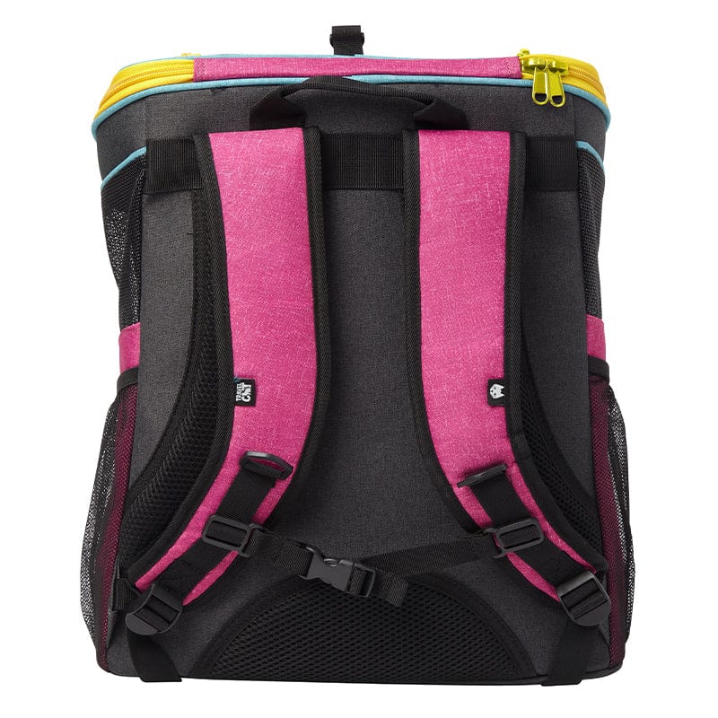Stray Backpack & Harness Bundle
