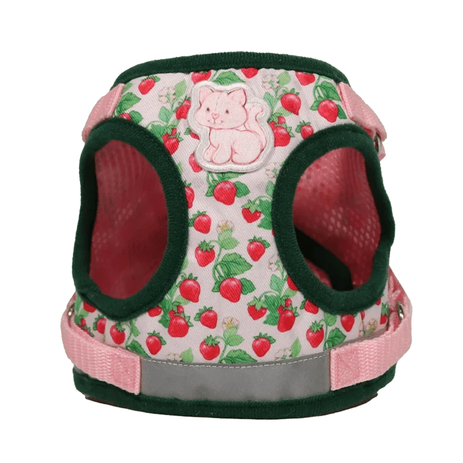 Strawberry Shortcake x Travel Cat  Bundle - Officially Licensed