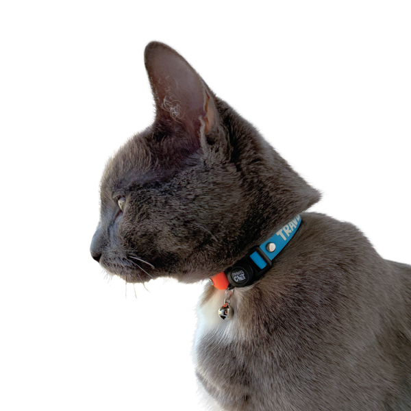 "The Fancy Cat" Silicone Breakaway Collar