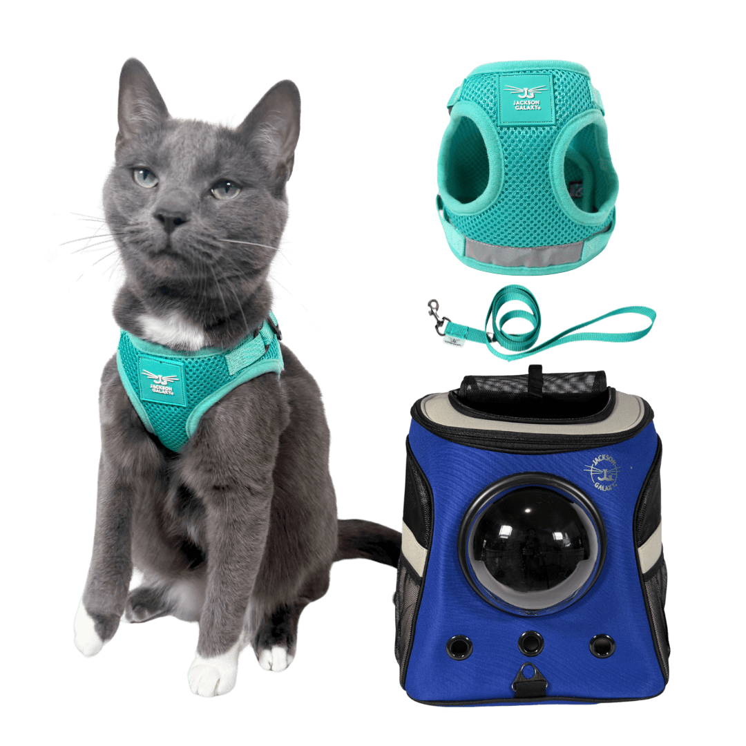 The Jackson Galaxy x Travel Cat Harness & Backpack Bundle
