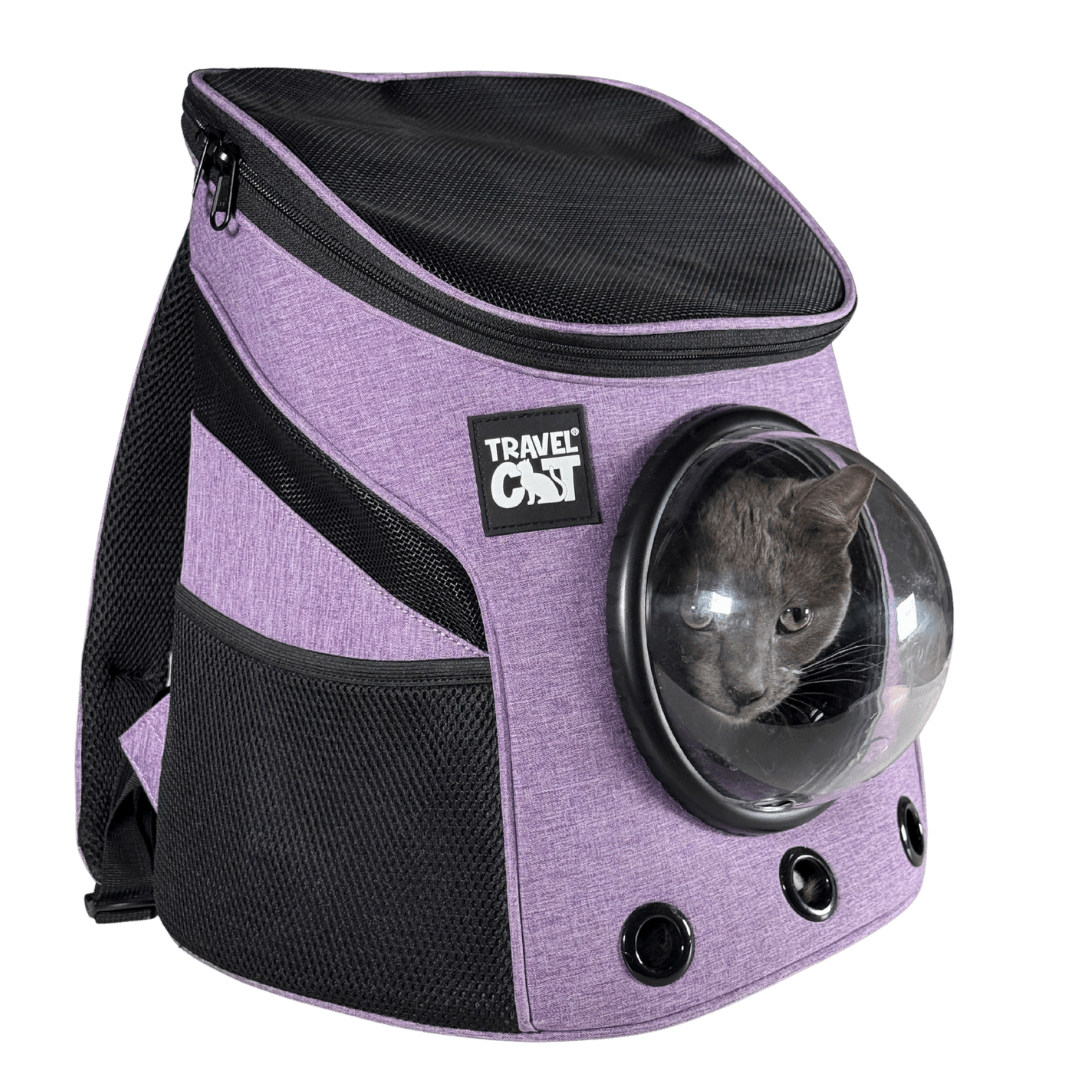 Rainbow Bundle - Fat Cat Mini Rainbow & Harness & Leash Set