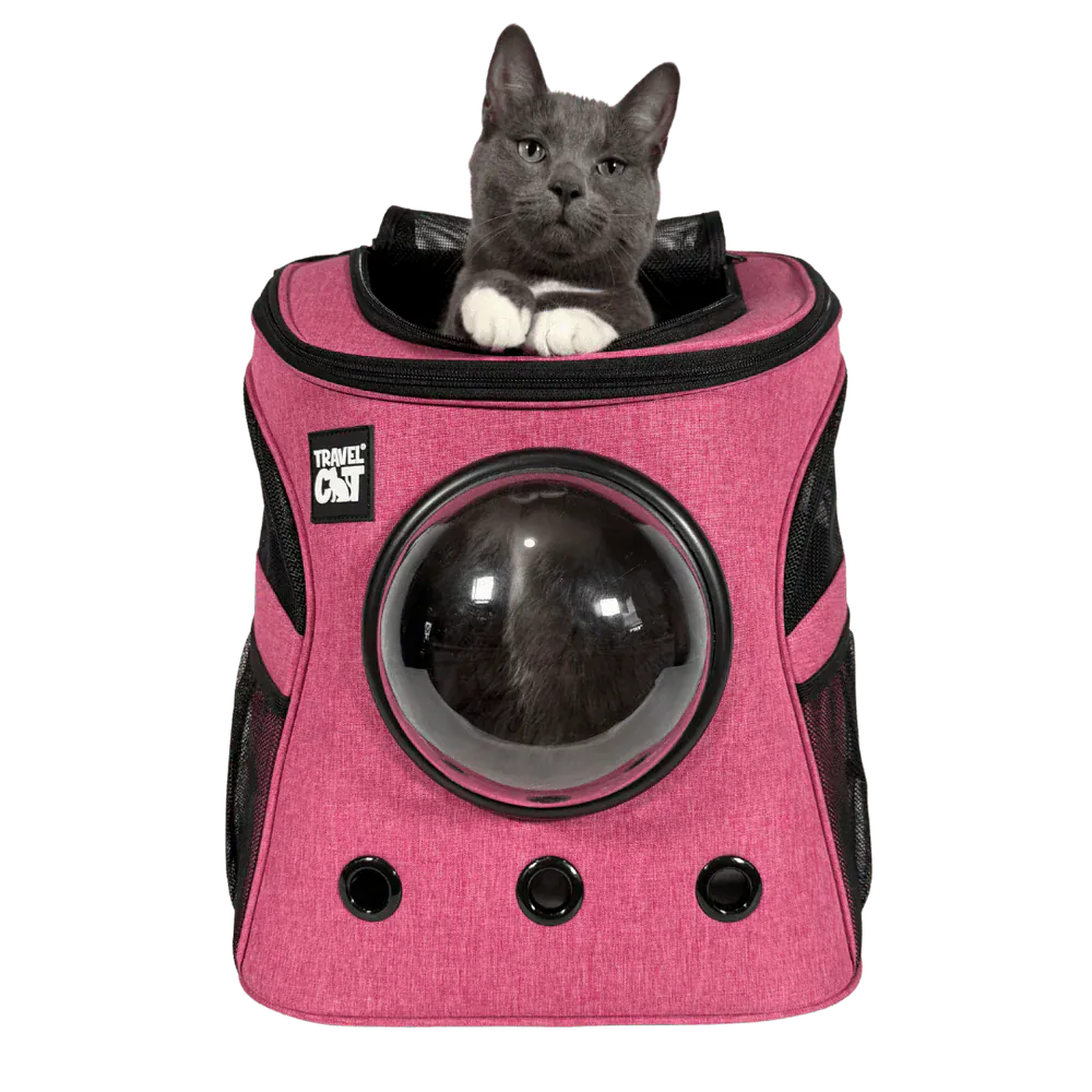 "The Fat Cat" Cat Backpack & Meowbile Home Bundle