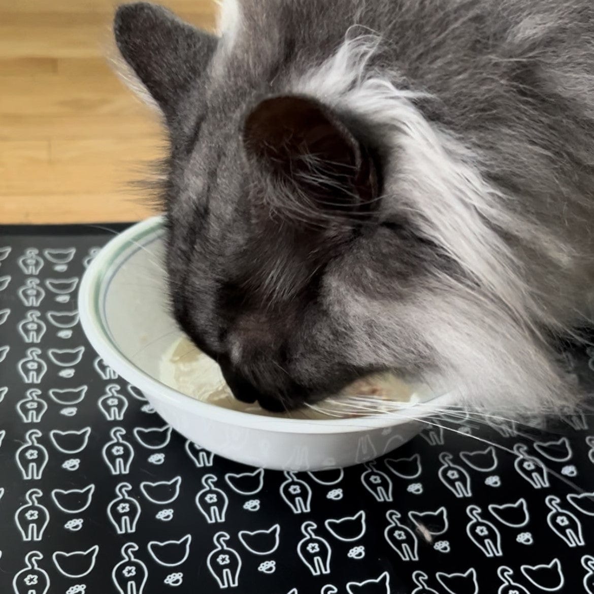 "The Nice & Tidy" Cat Food & Water Feeding Mat
