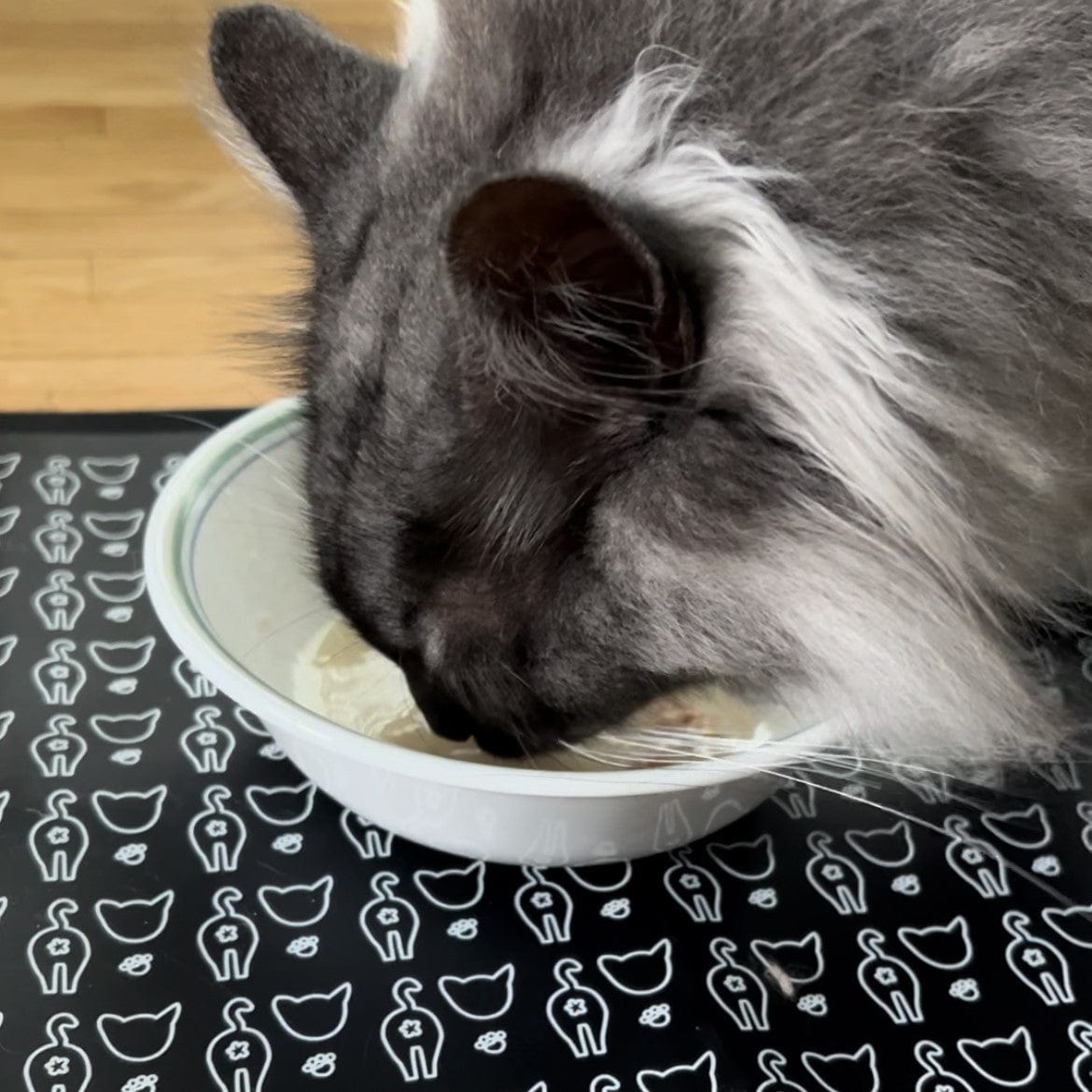 BLACK FRIDAY FREE GIFT! "The Nice & Tidy" Cat Food & Water Feeding Mat