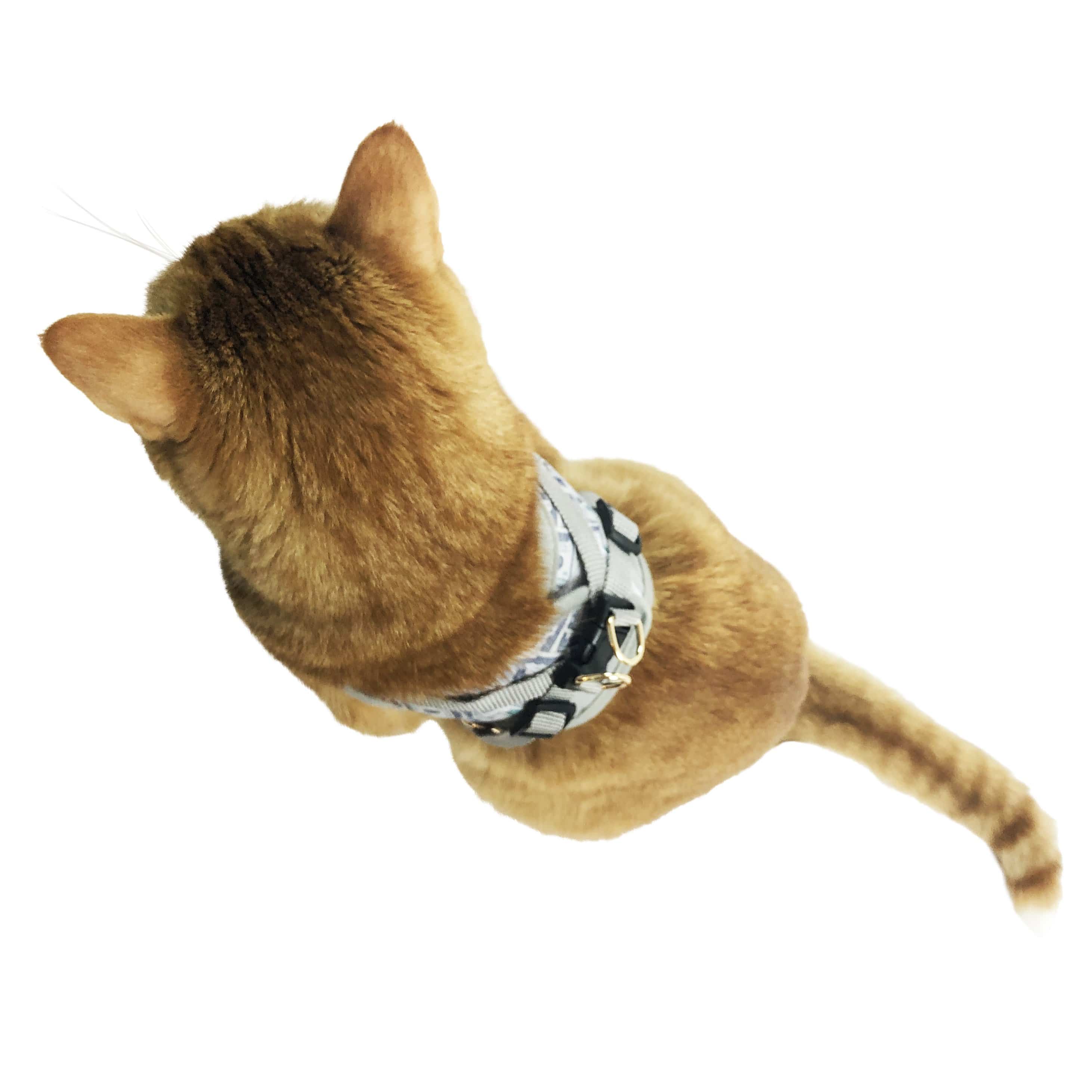 "Cash Cat" Limited Edition Harness & Leash Set