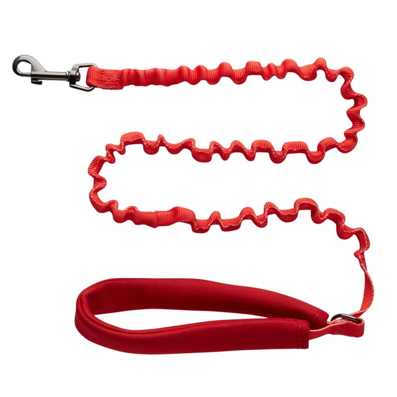 "The Day Tripper" Perfect Adjustable H-Style Cat Harness & Bungee Leash Set