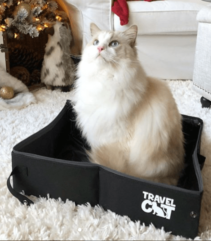 “The Feline Fancy” Travel Cat Accessories Bundle - Bed, Litter Box, Collar, Foldable Bowl & Pouch