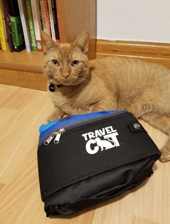 "The Gotta Go" Travel Litter Box and Retractable Cat Leash Set
