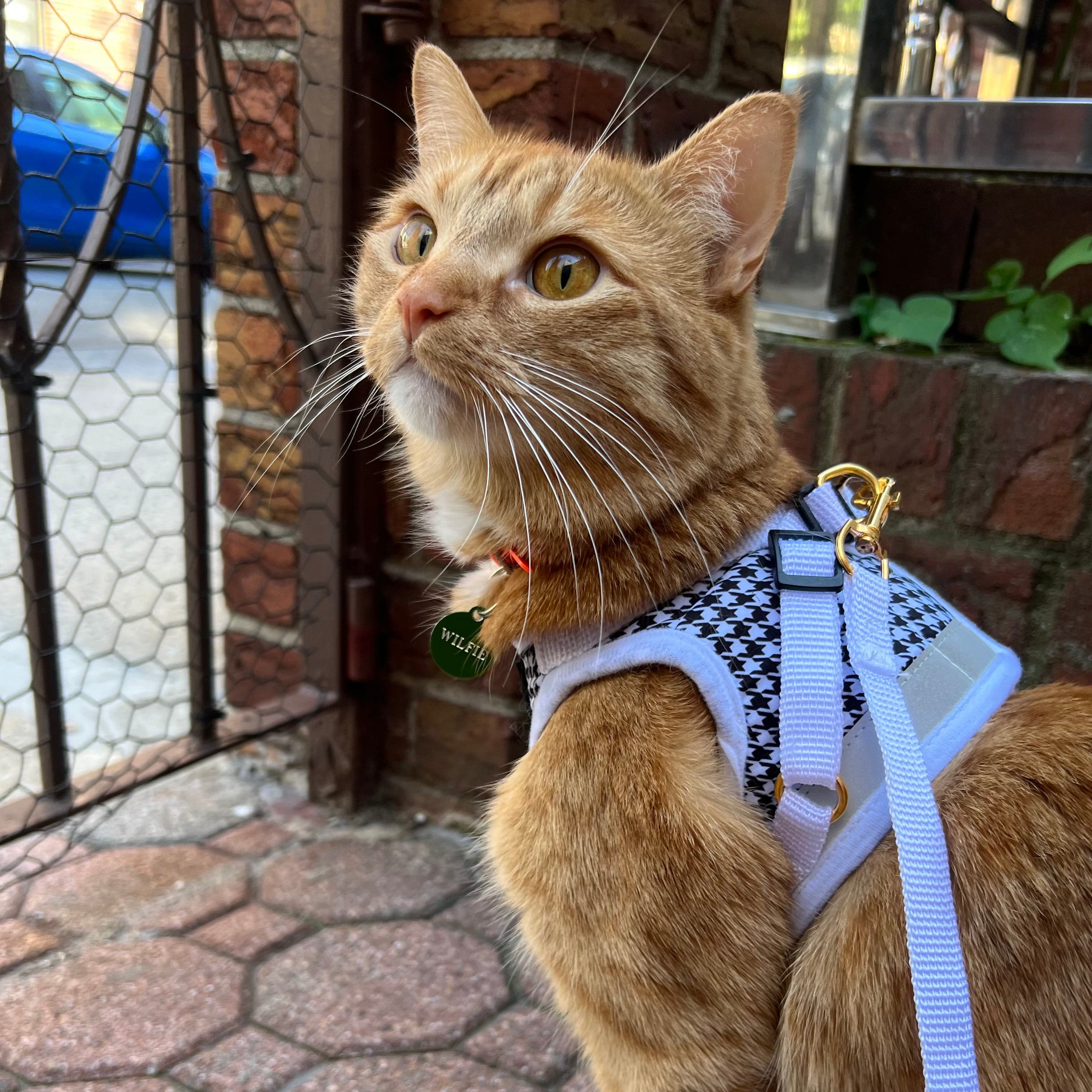 "The Houndstooth" Limited Edition Cat Harness & Leash Set