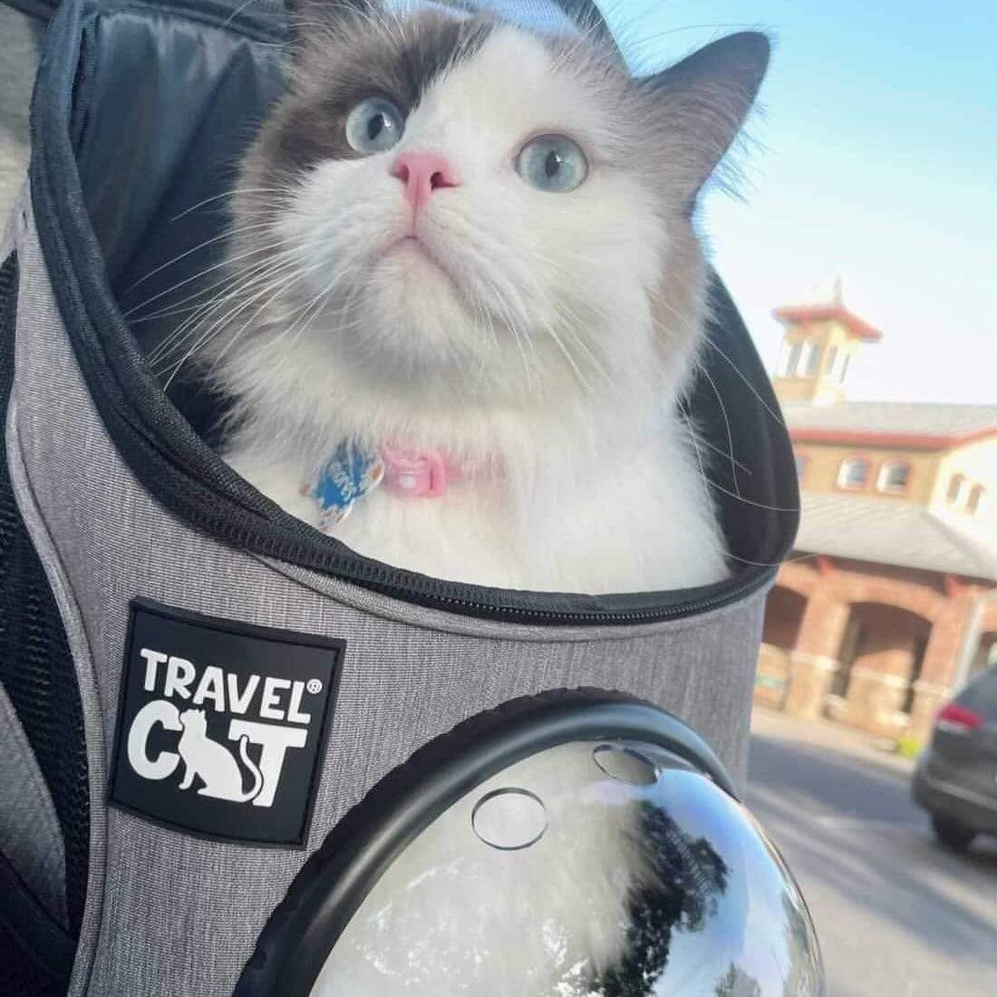 "The Fat Cat" Mini Cat Backpack