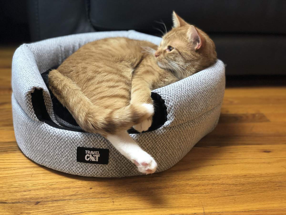 "The Cozy AF" Cat Bed Bundle