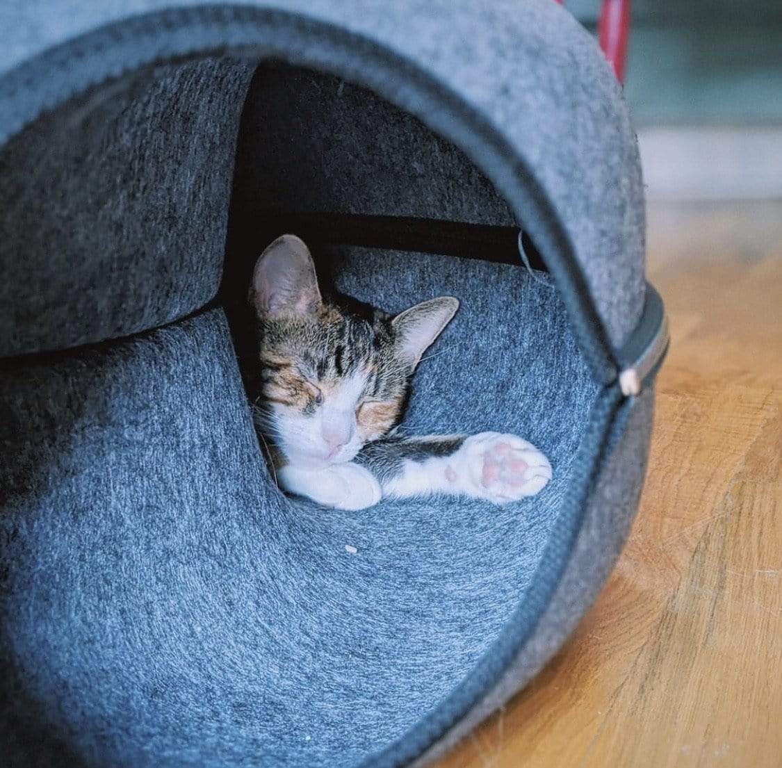"Donut!" Cat Hideaway Cave