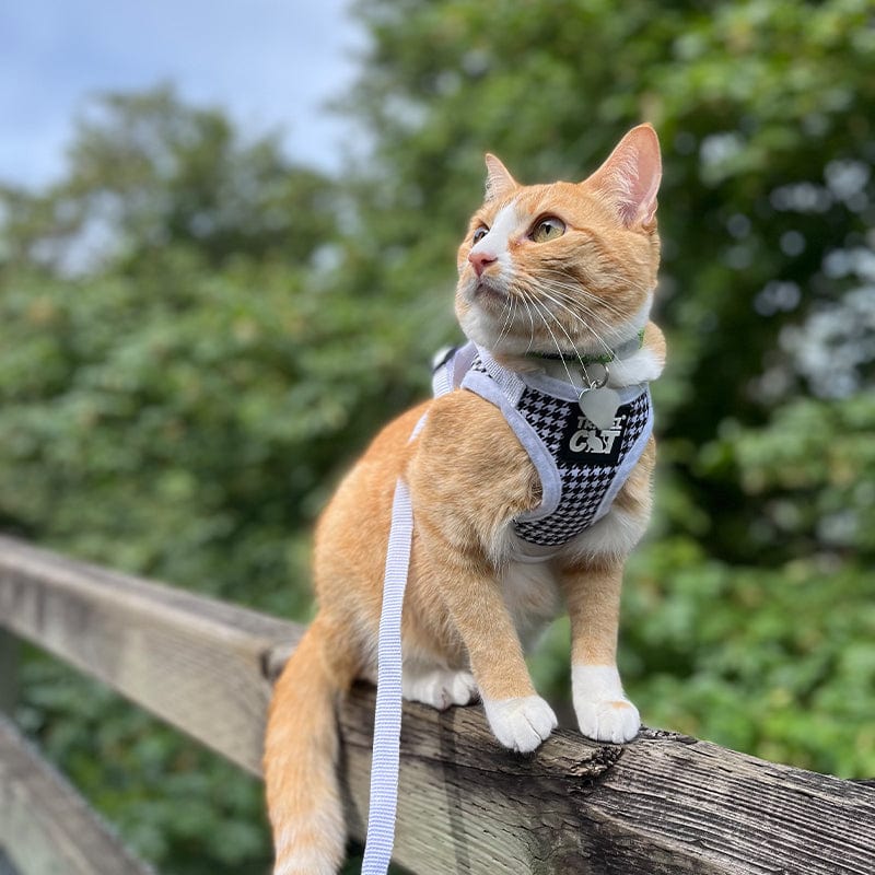 "The Houndstooth" Limited Edition Cat Harness & Leash Set