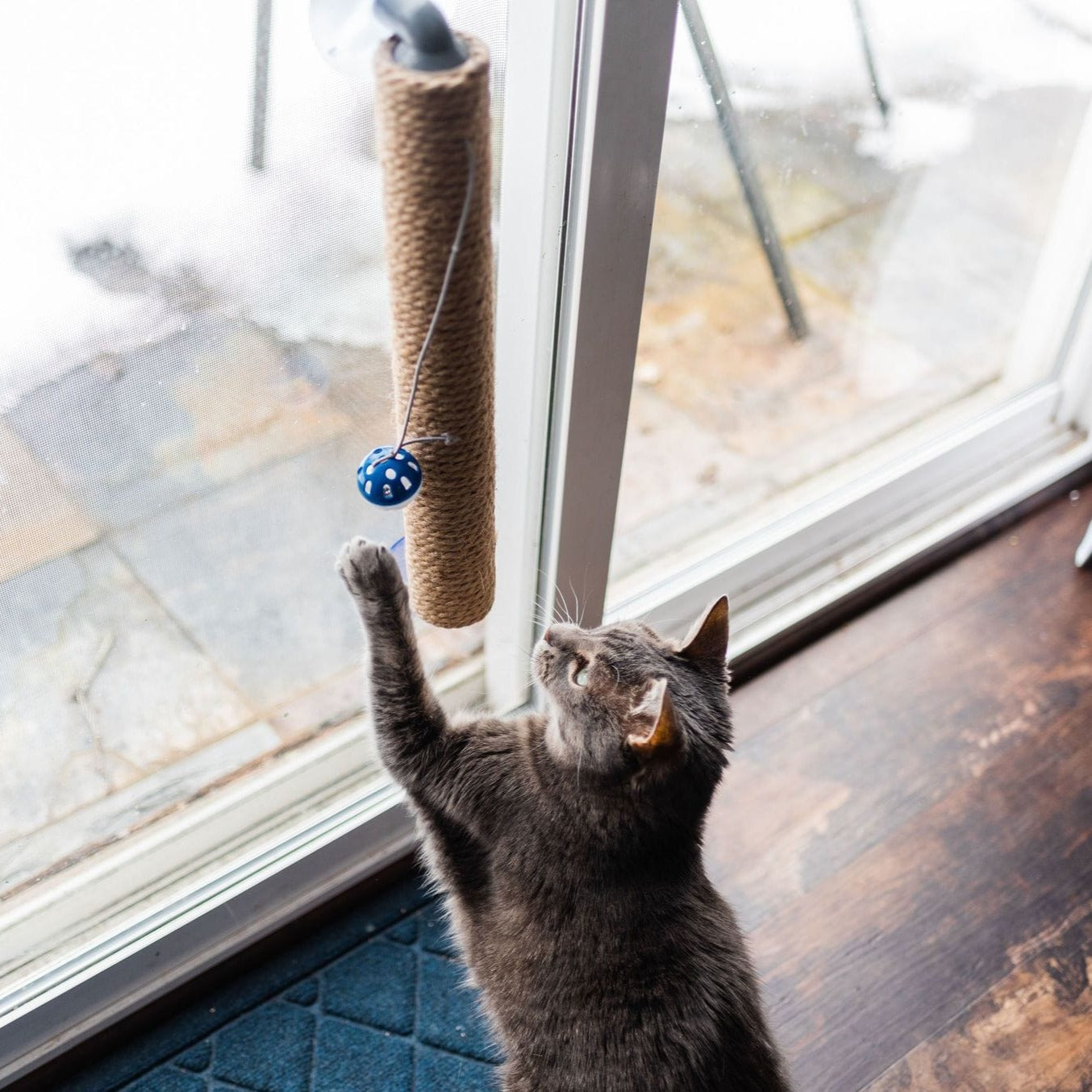 "The Window Wall Post" Travel Cat Scratcher