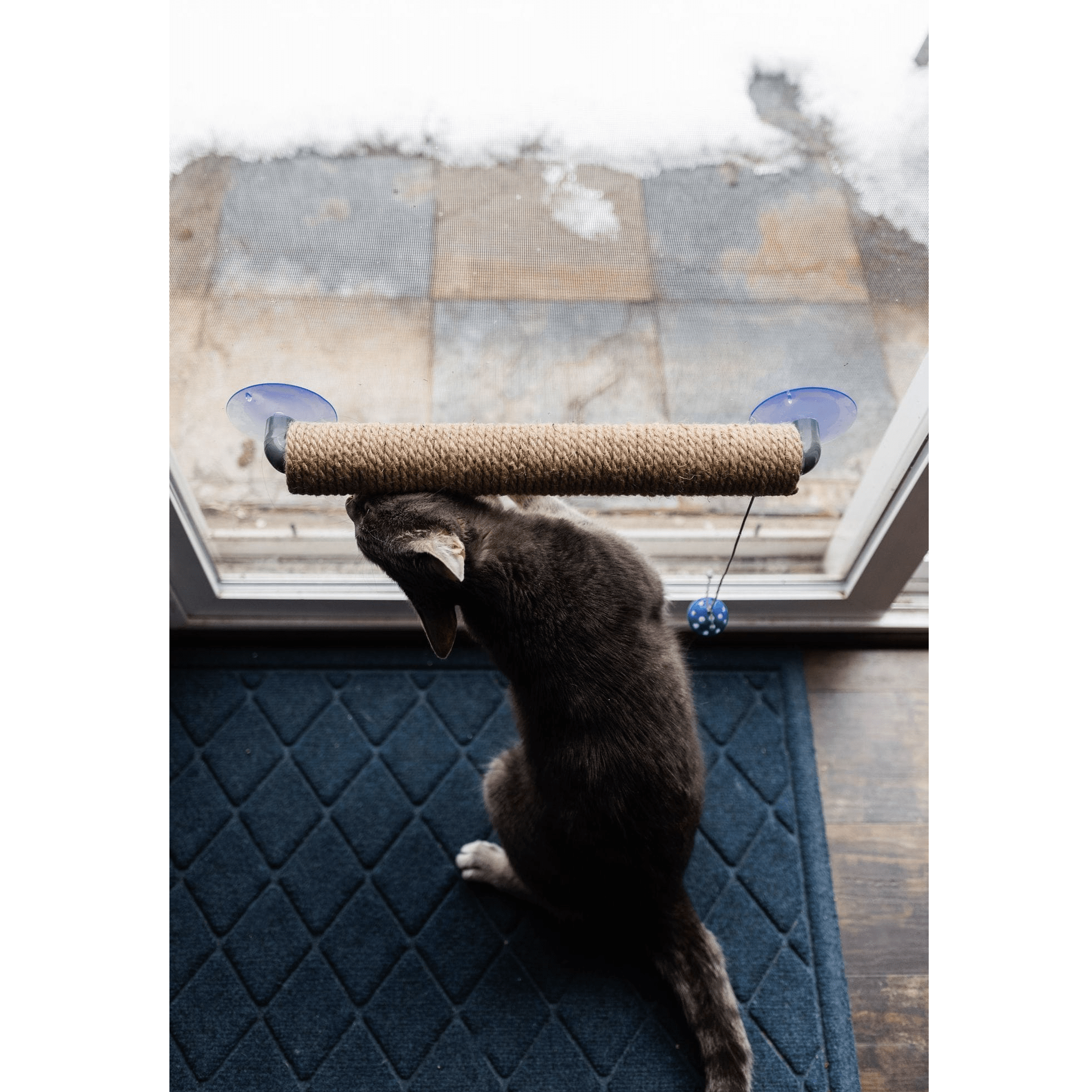 "The Window Wall Post" Travel Cat Scratcher