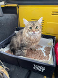 How to Travel With a Litter Box