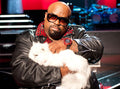 35+ Celebrities Who Love Cats: Actors, Athletes & Musicians Who Are Proud Cat Parents