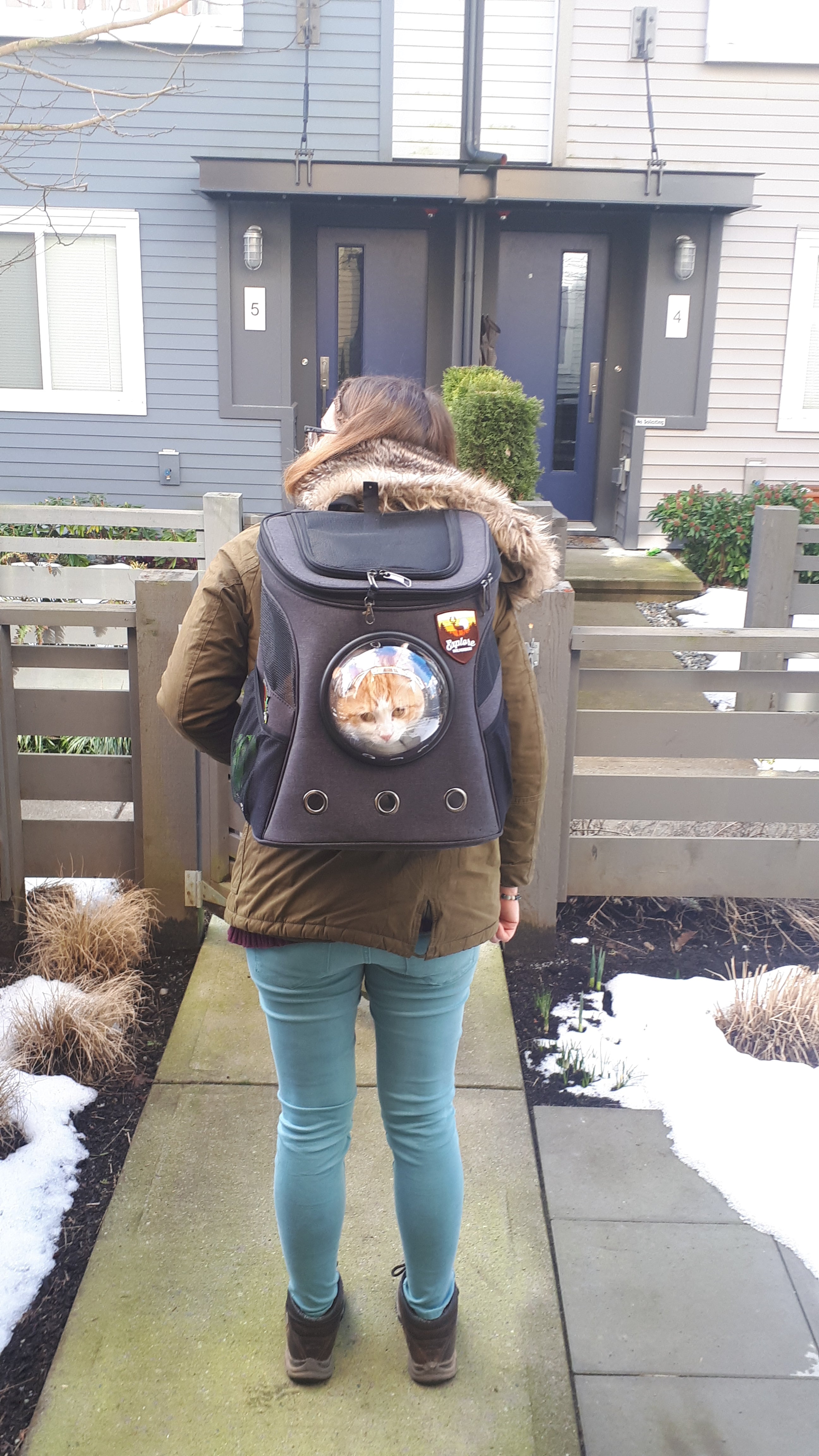 Oxford: Your Cat Backpack Featured Feline