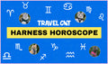 Travel Cat Astrology: Find Your Sign and Harness Style