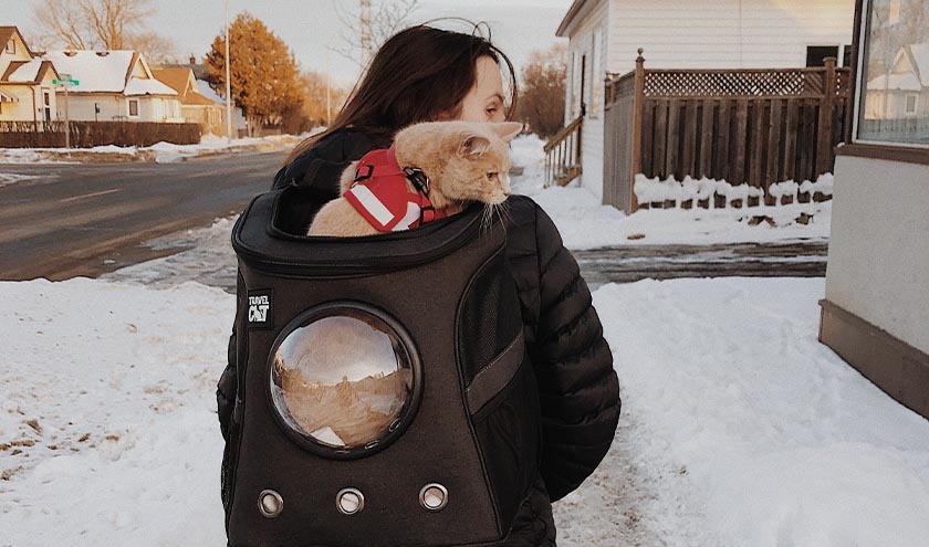 The 4 Best Cat Bubble Backpacks for 2022