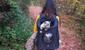 Your Cat Backpack Style Comparisons and Feature Details
