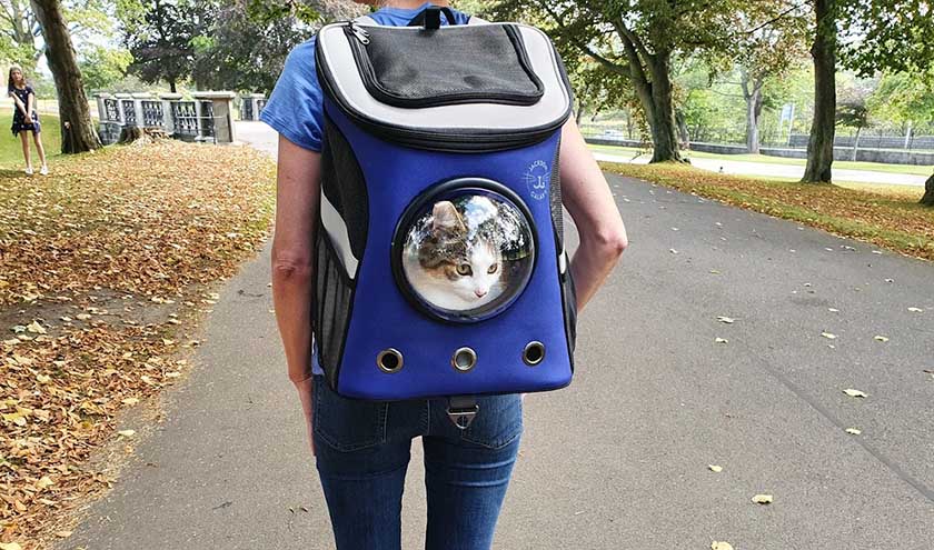 How to Install the Bubble Capsule on Your Cat Backpack Space Backpack