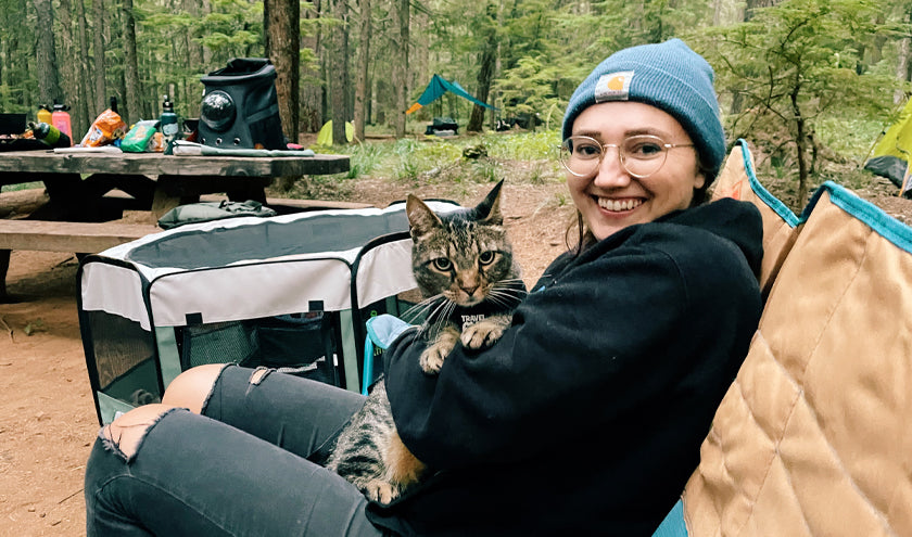 The Ultimate Guide to Camping with Your Cat