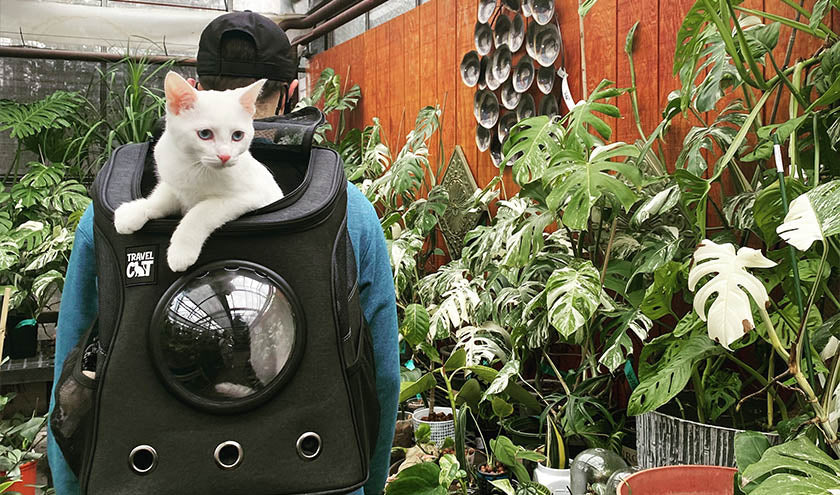 Buy the Best Astronaut Cat Space Backpacks - Your Cat Backpack