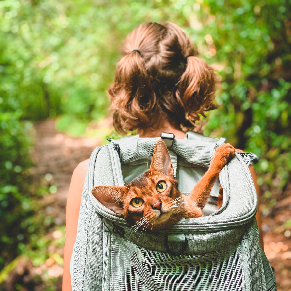 My New Lion Cat Carrier Bag (Video!) - Summer's Fabulous Cat Life