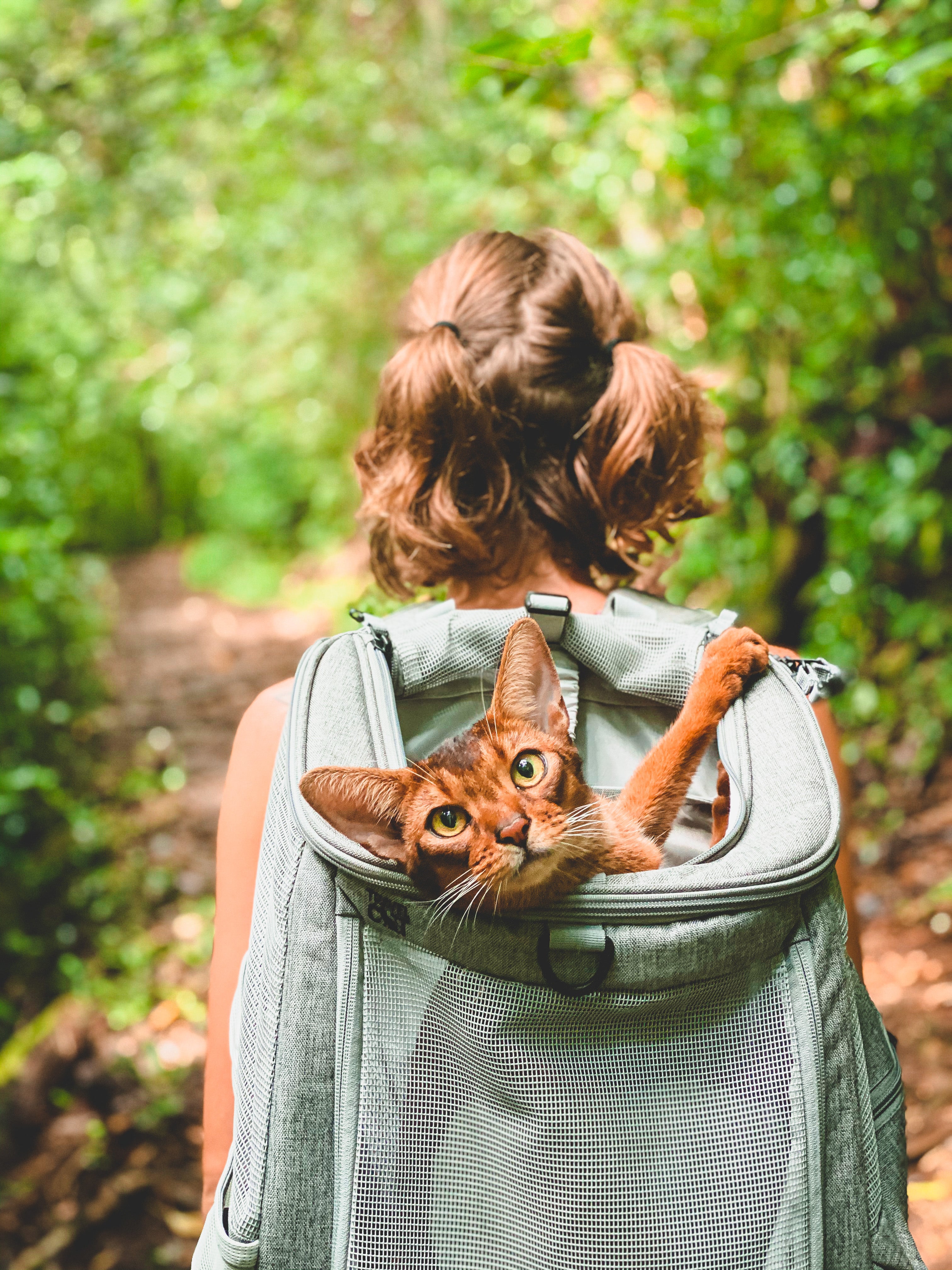 The 6 Best Cat Backpacks for 2023 - Review and Guide