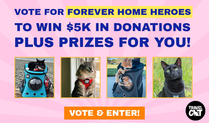 Vote for Forever Home Heroes to Win $5k in Donations Plus Prizes for You!