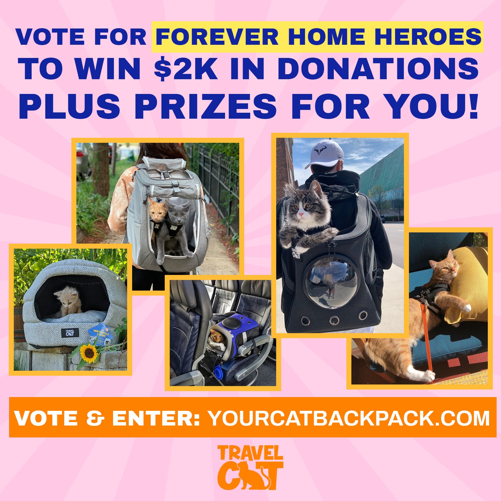 Nominate or Vote for a Forever Home Hero to Win $2k in Donations Plus Prizes for You!