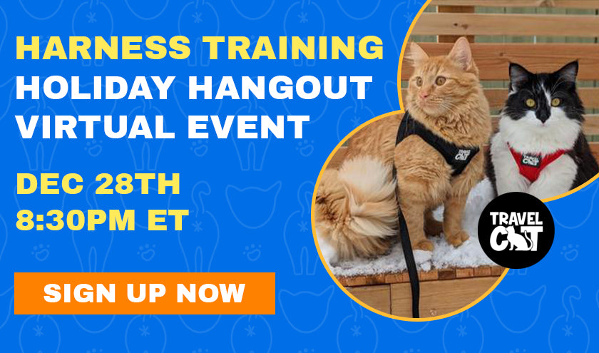 Cat Harness Training Holiday Hangout & Mentoring Virtual Event - Dec. 28, 2021