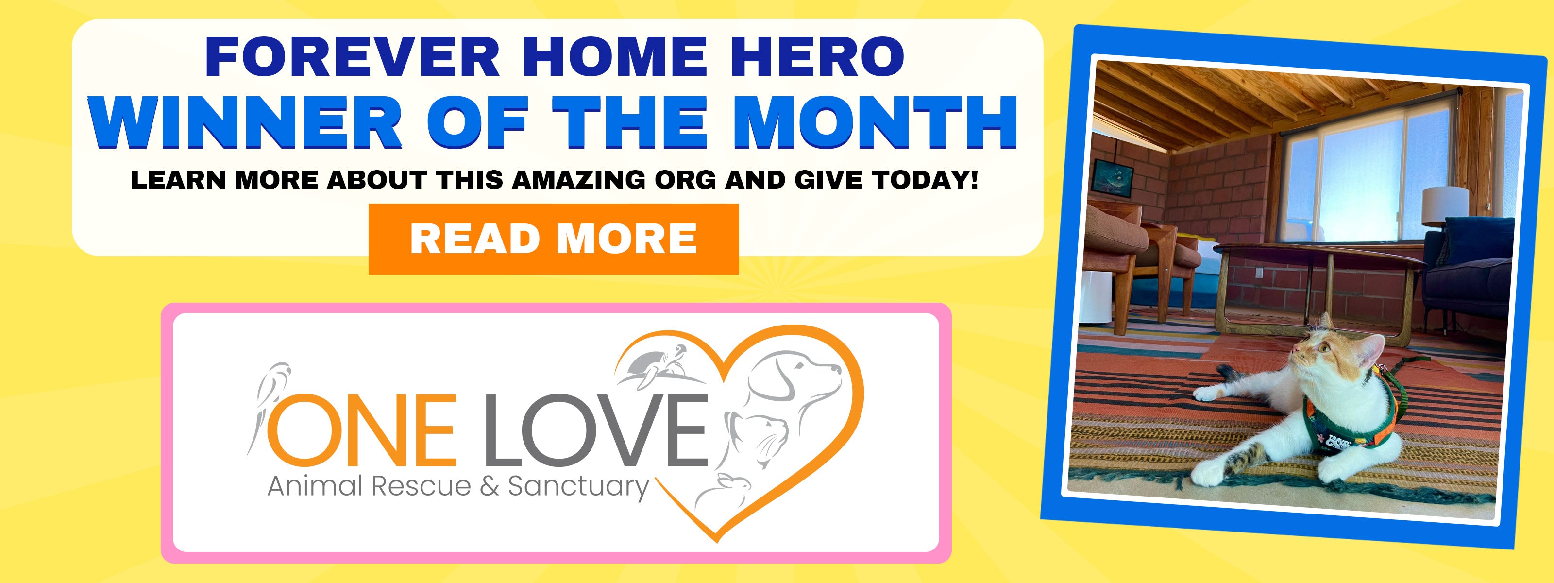 Forever Home Heroes Winning Cat Welfare Organization - One Love Animal Rescue & Sanctuary