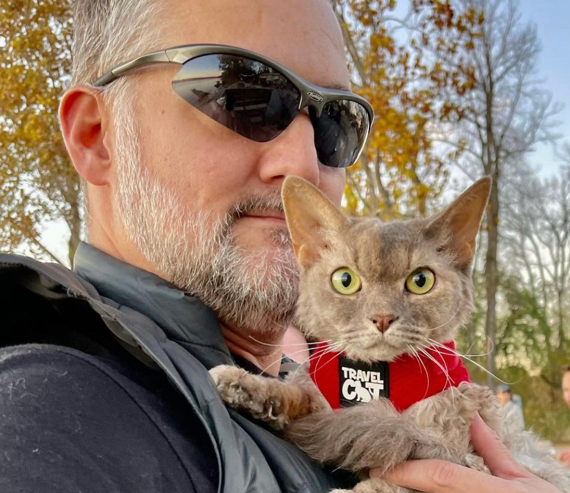 20 Cat Dads in Every Season to Brighten Your Father's Day