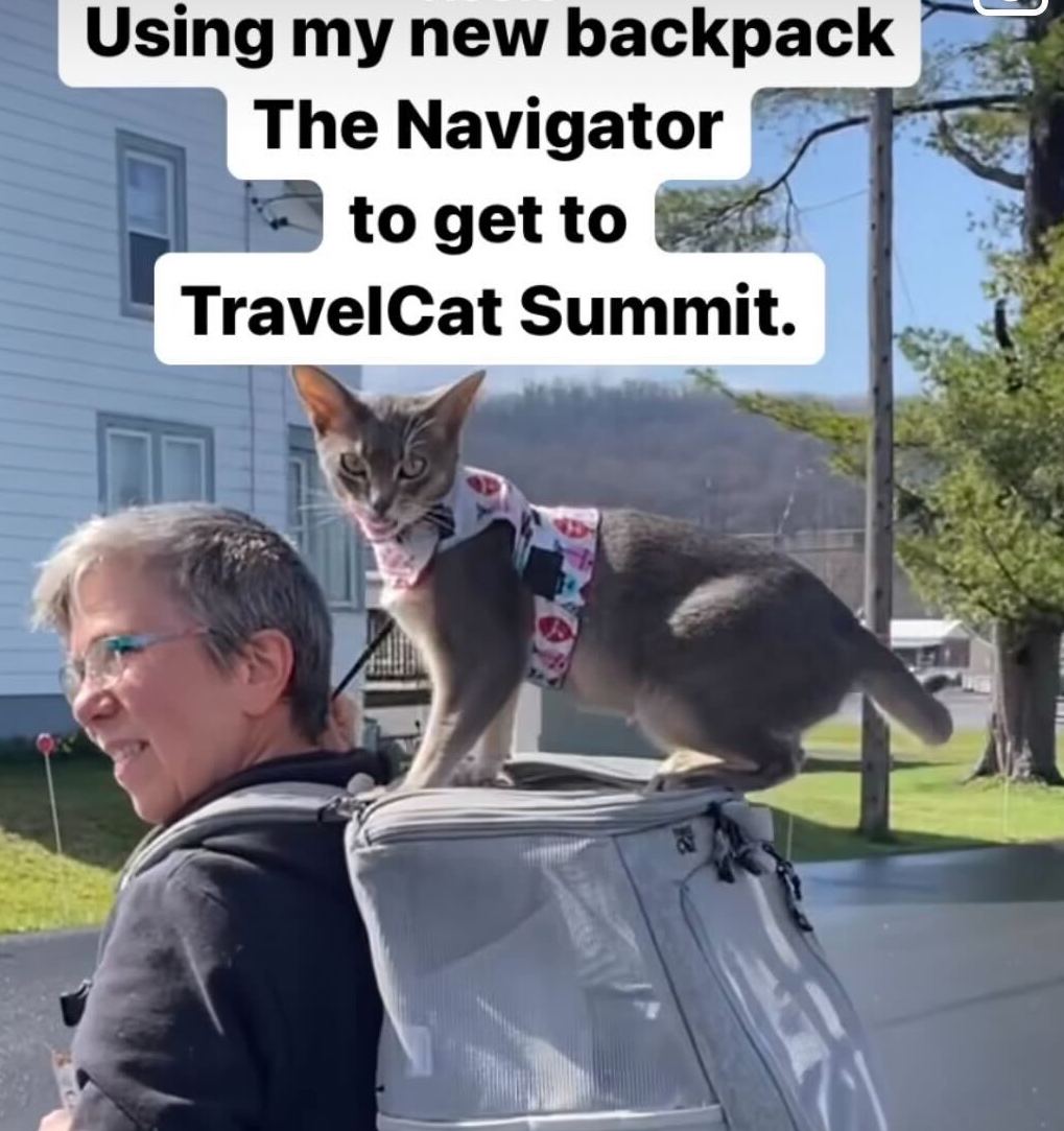 Travel Cat Tuesday: Meet Adami & Anjohl, the Paw-mazing Pennsylvanians