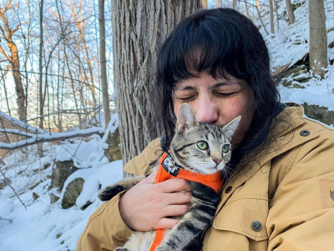 Travel Cat Tuesday: Meet the Cuddliest Cat, Miso