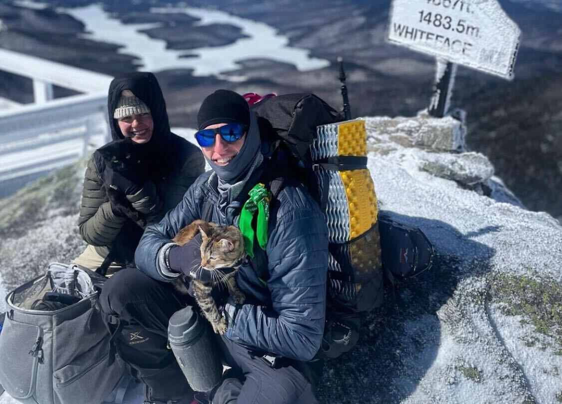 Travel Cat Tuesday: Myra & Sloane, Mountain Climbing Furriends