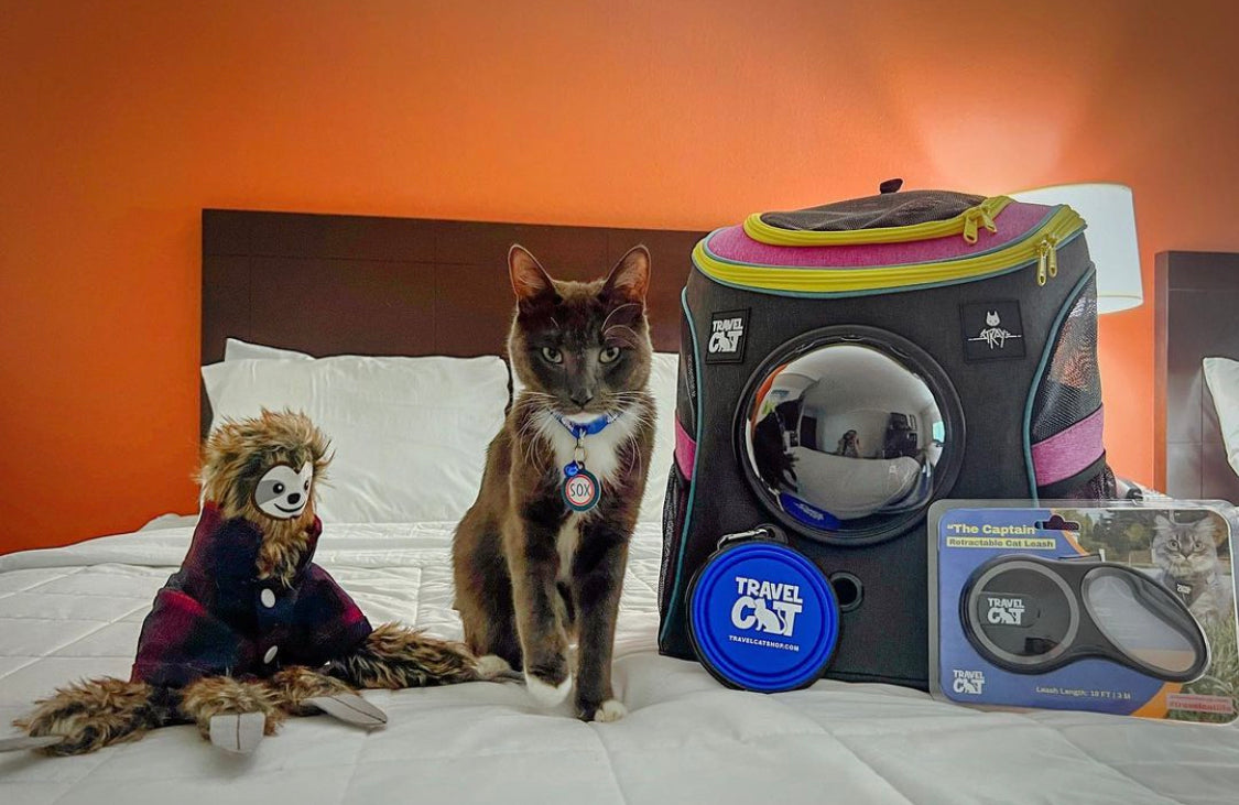 Travel Cat Tuesday: Sox, the Cosplaying Kitty