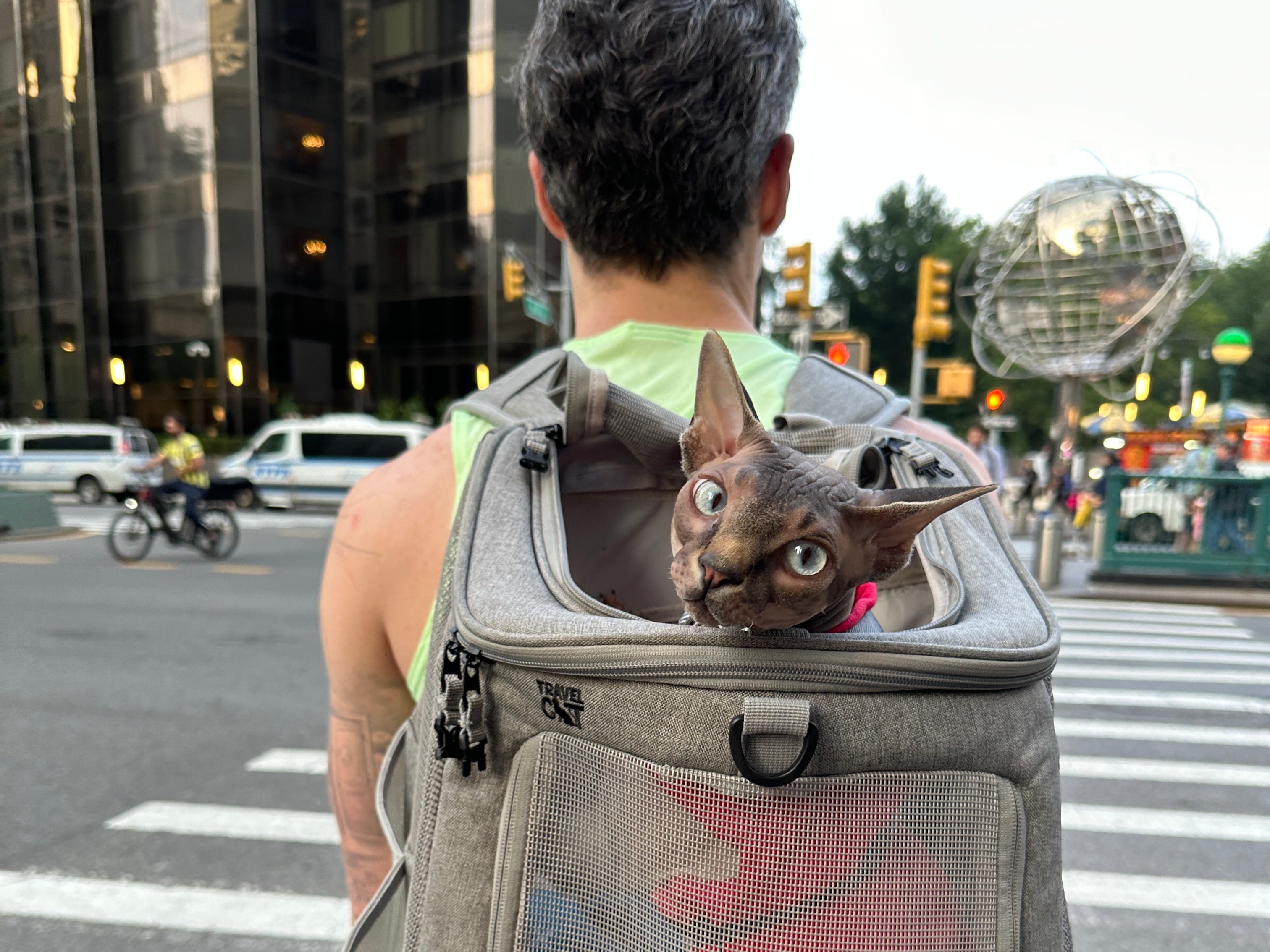 Featured Feline: Bruce Wayne, NYC's Cat Adventurer