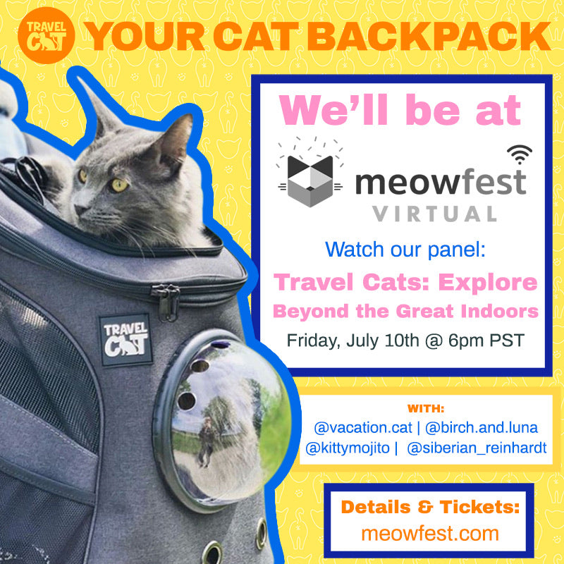 Going Beyond the Great Indoors with Travel Cat at Meowfest 2020