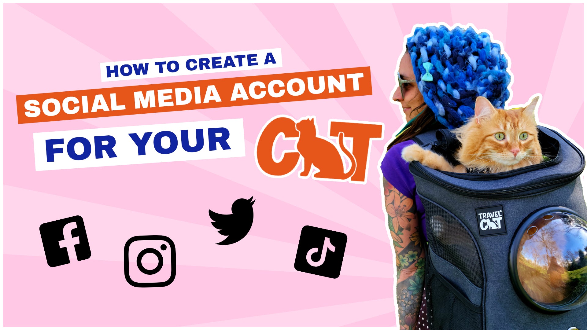 How to Create a Social Media Account for Your Cat