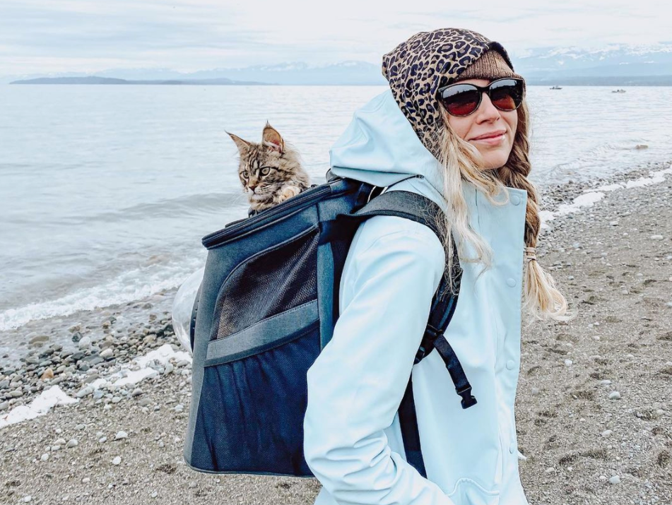 Travel Cat VIP: Cat Cuddles and Adventures Through the Covid Pandemic