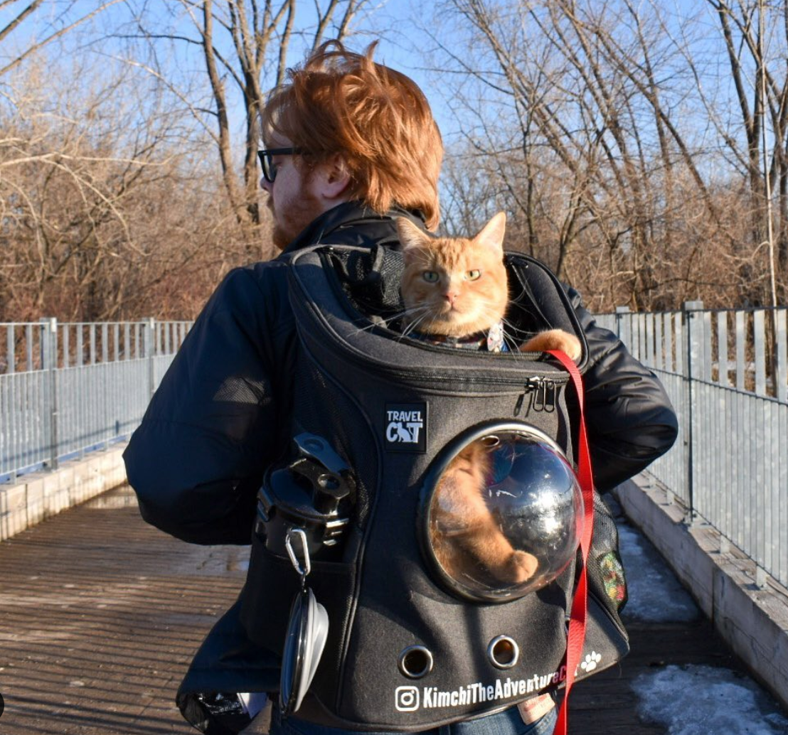 Travel Cat Tuesday: Kimchi's Snowy Cat-Ventures in Canada