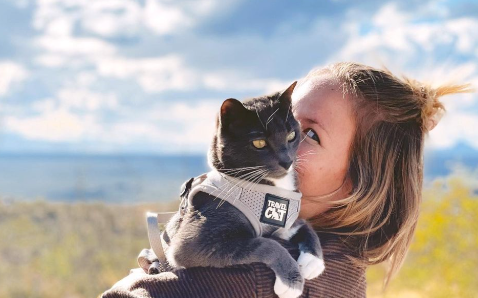 18 Spectacular Cat Moms Loving Life with Their Adventure Kitties