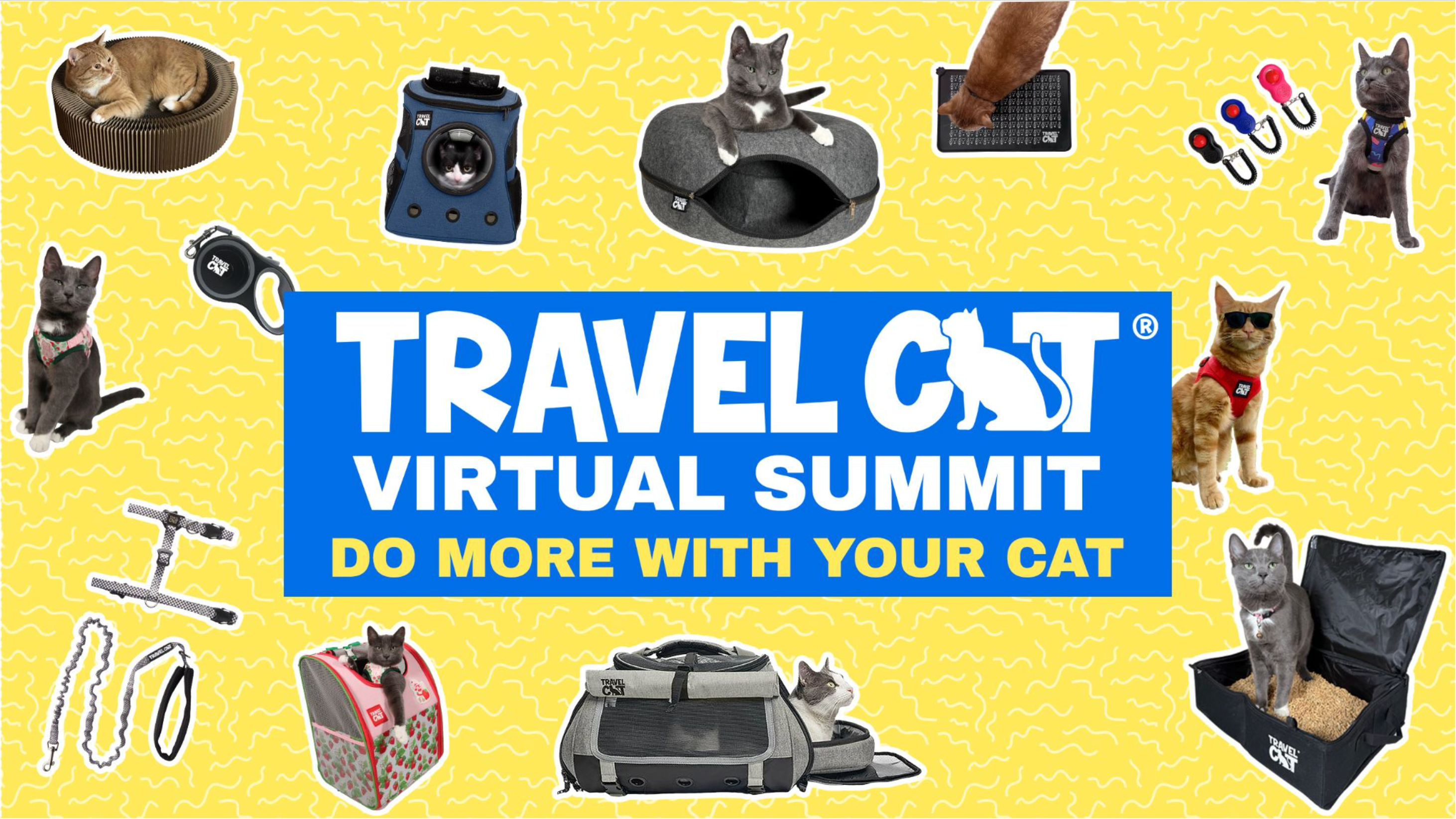Travel Cat Summit 2026