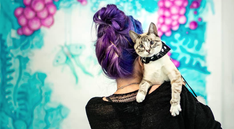 Travel Cat Tuesday: Meet Squirrel, the Art Studio City Kitty